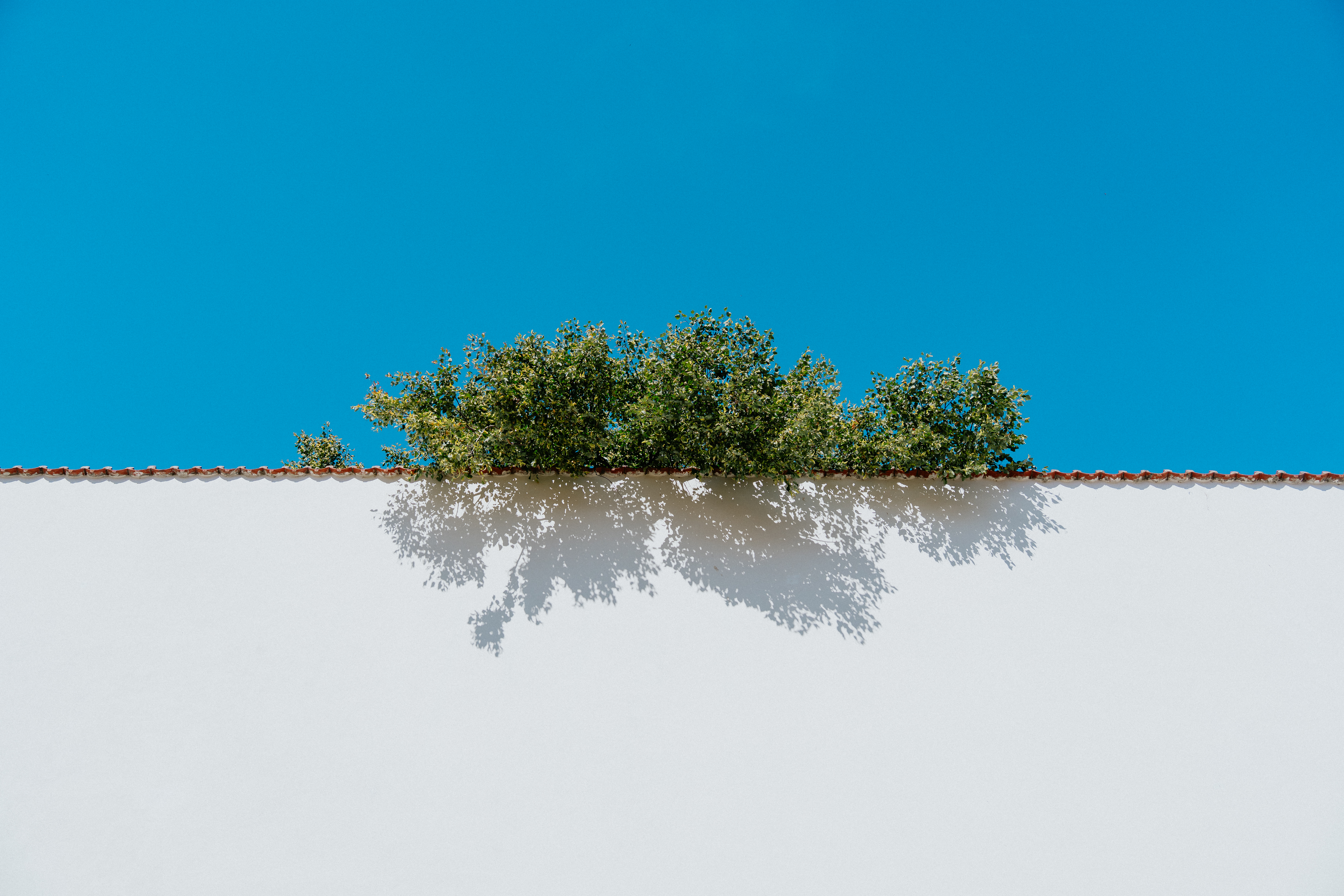 minimalism