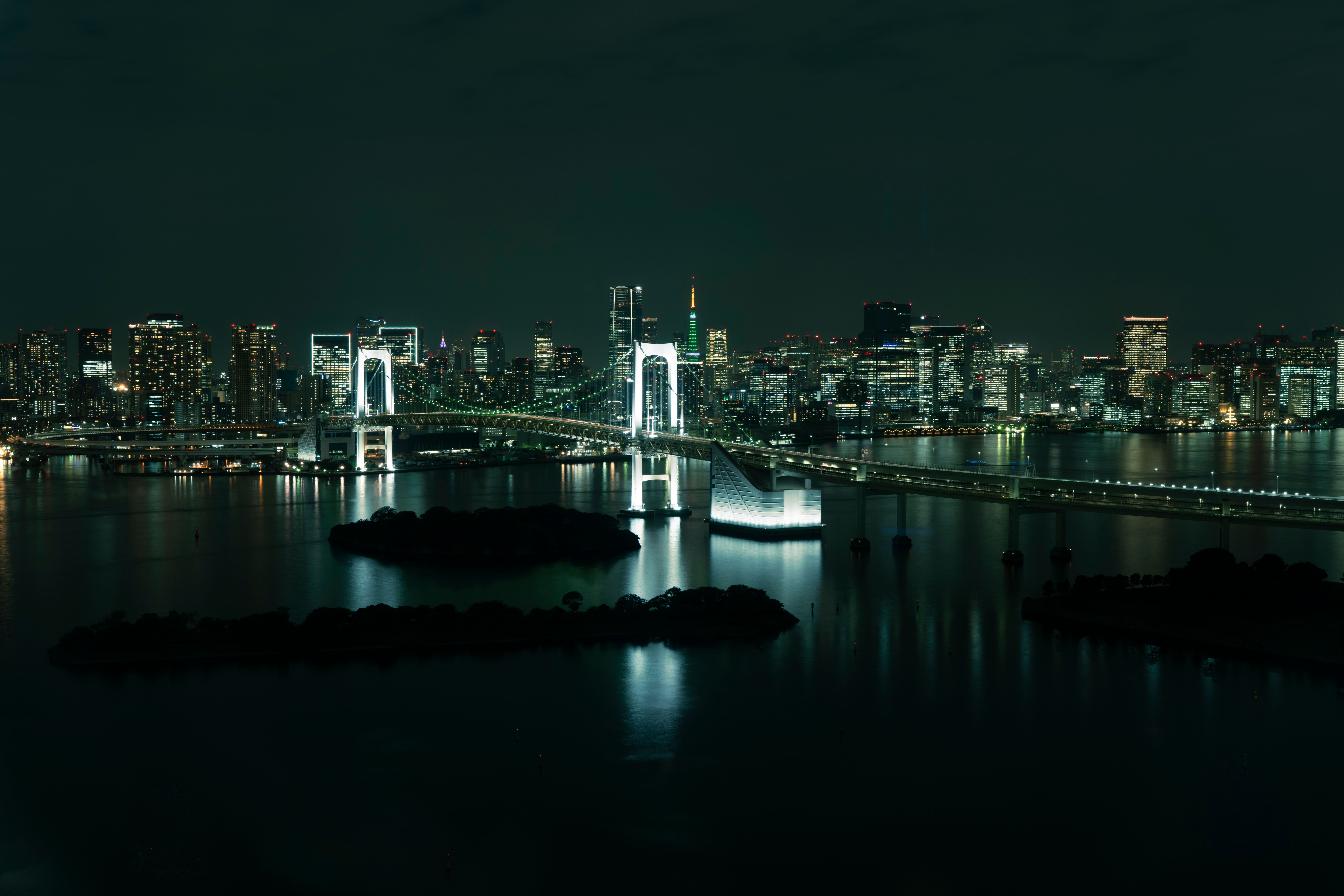 Rainbow bridge in tokyo by light with the tokyo skyline in the background
